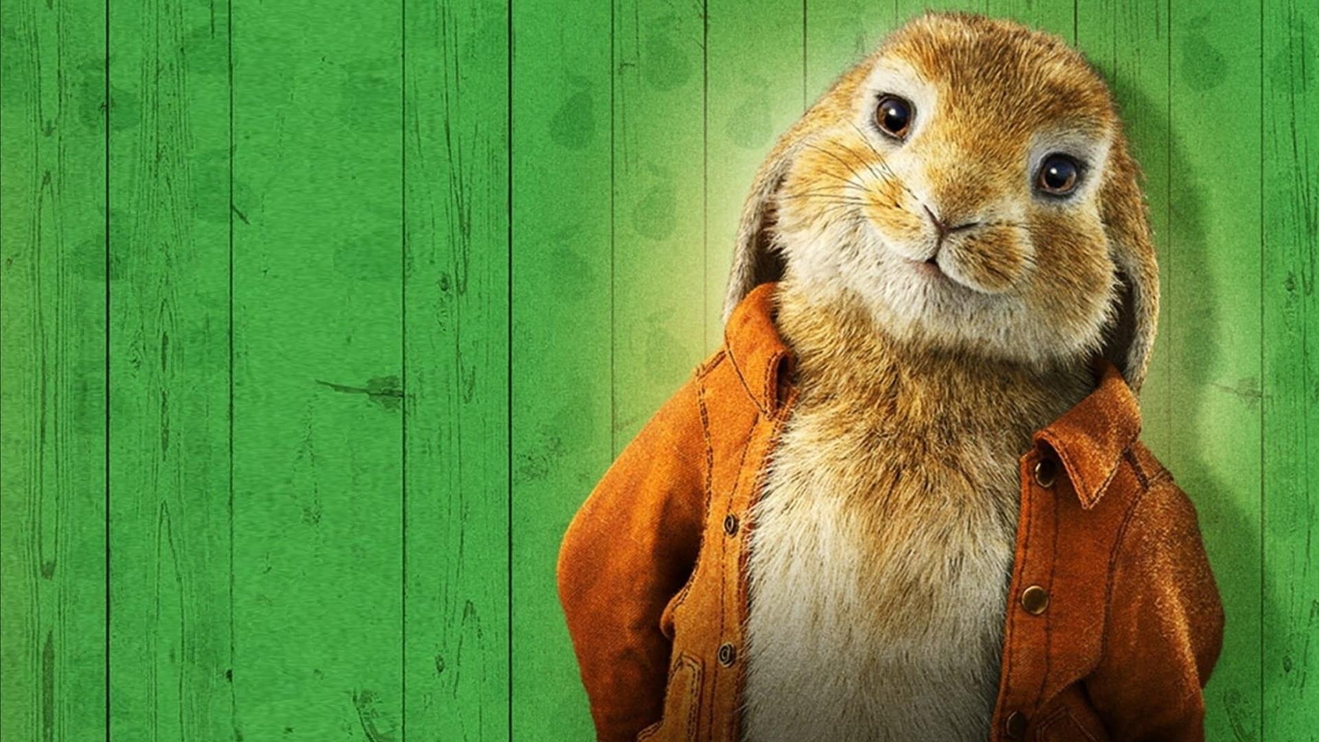 Кролик питер 2 картинки