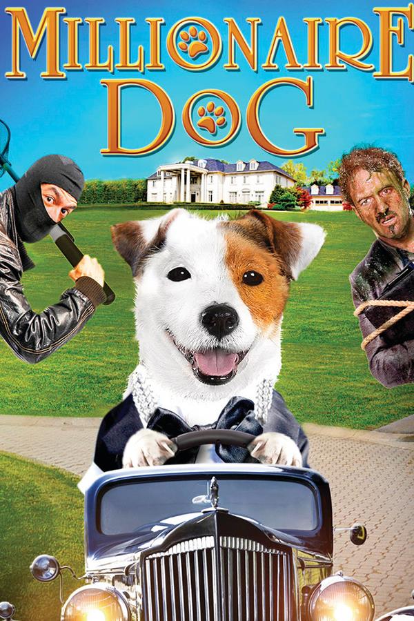 DSmart GO Milyoner Köpek